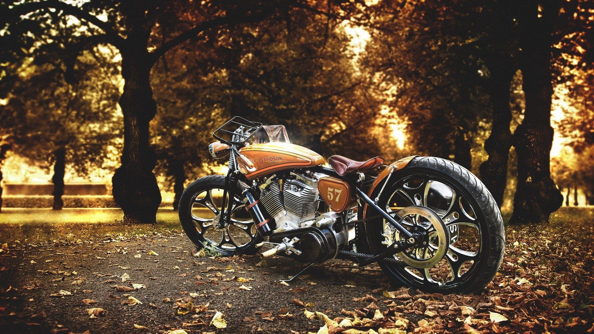 Cool Harley Davidson Wallpapers