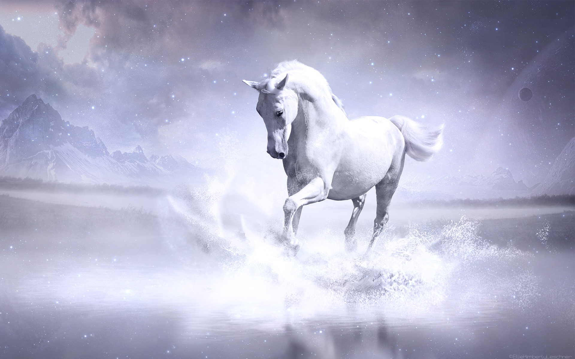 Cool Horse Desktop Wallpapers