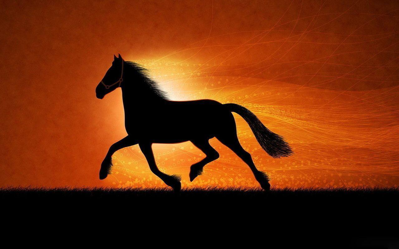 Cool Horse Desktop Wallpapers