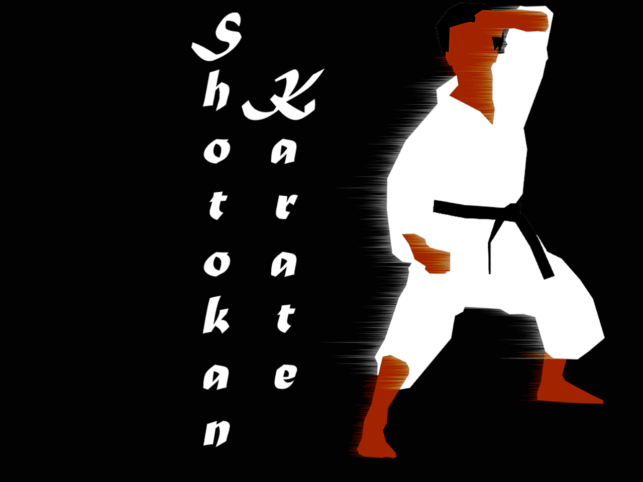 Cool Karate Wallpapers