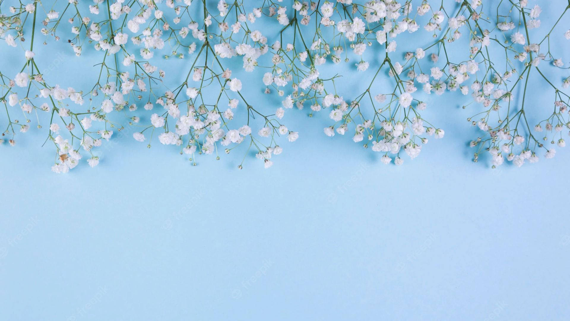 Cool Light Blue Wallpapers