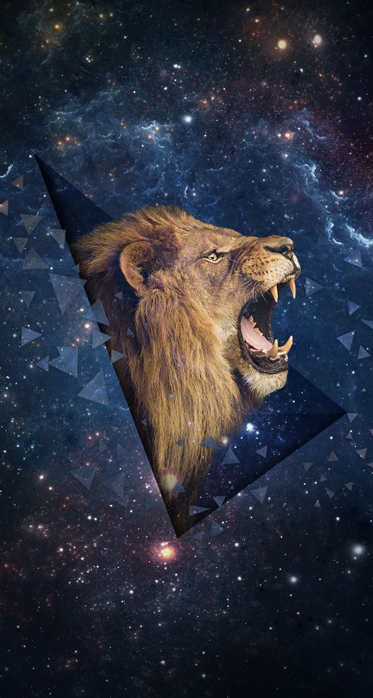 Cool Lion Galaxy Wallpapers