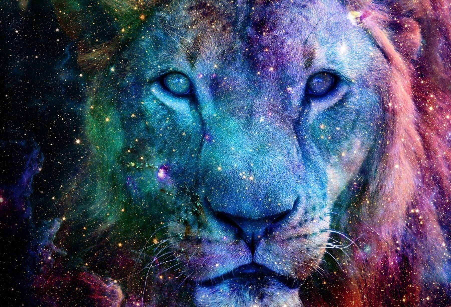 Cool Lion Galaxy Wallpapers