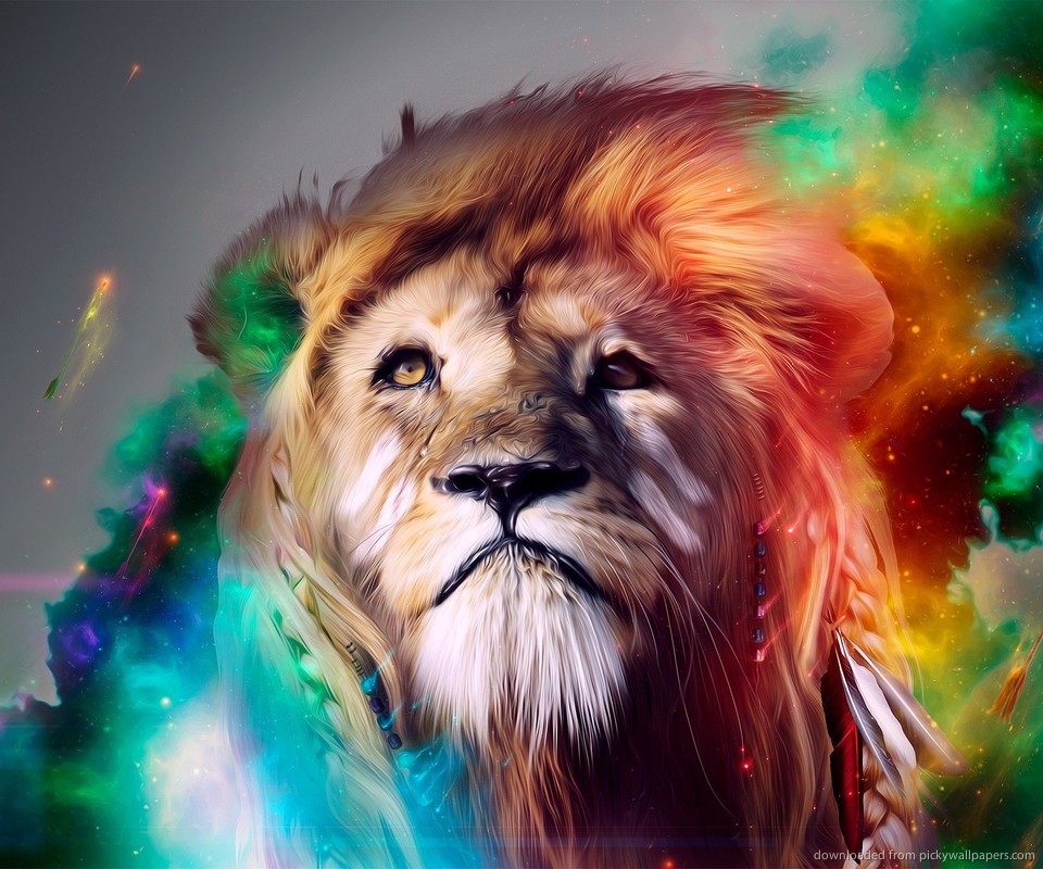 Cool Lion Galaxy Wallpapers