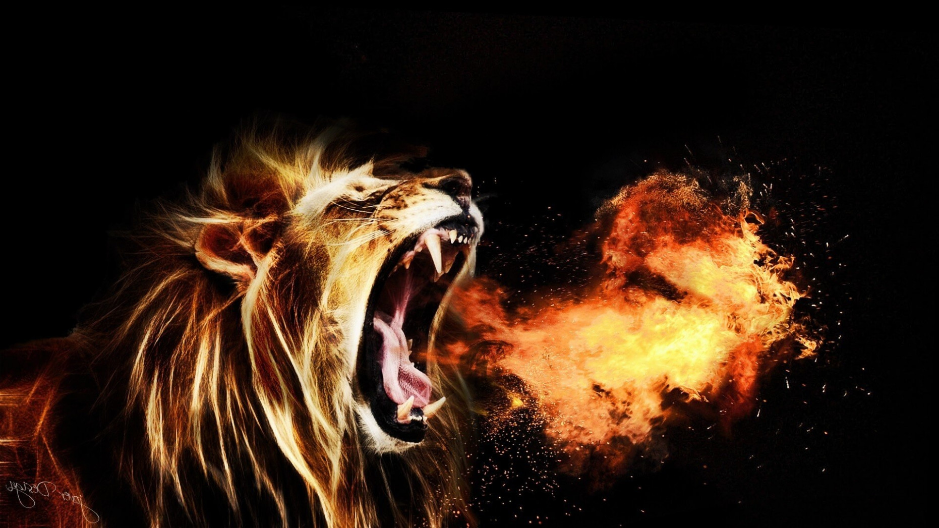 Cool Lion Wallpapers