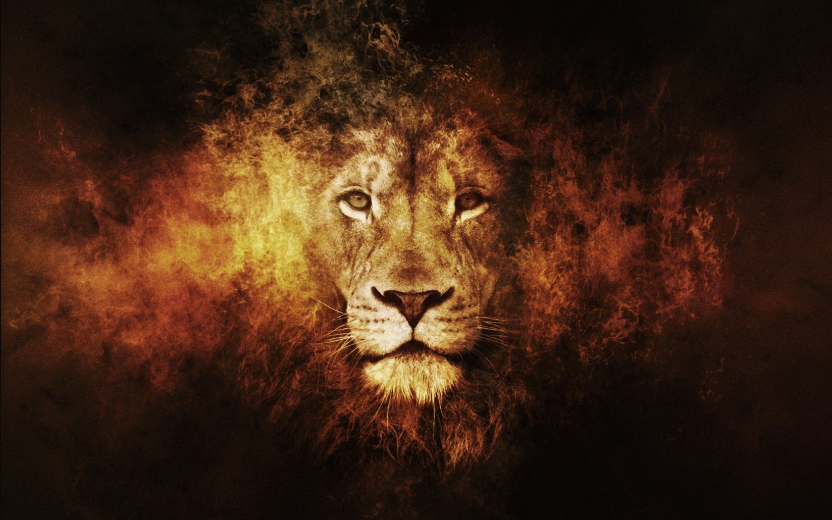 Cool Lion Wallpapers