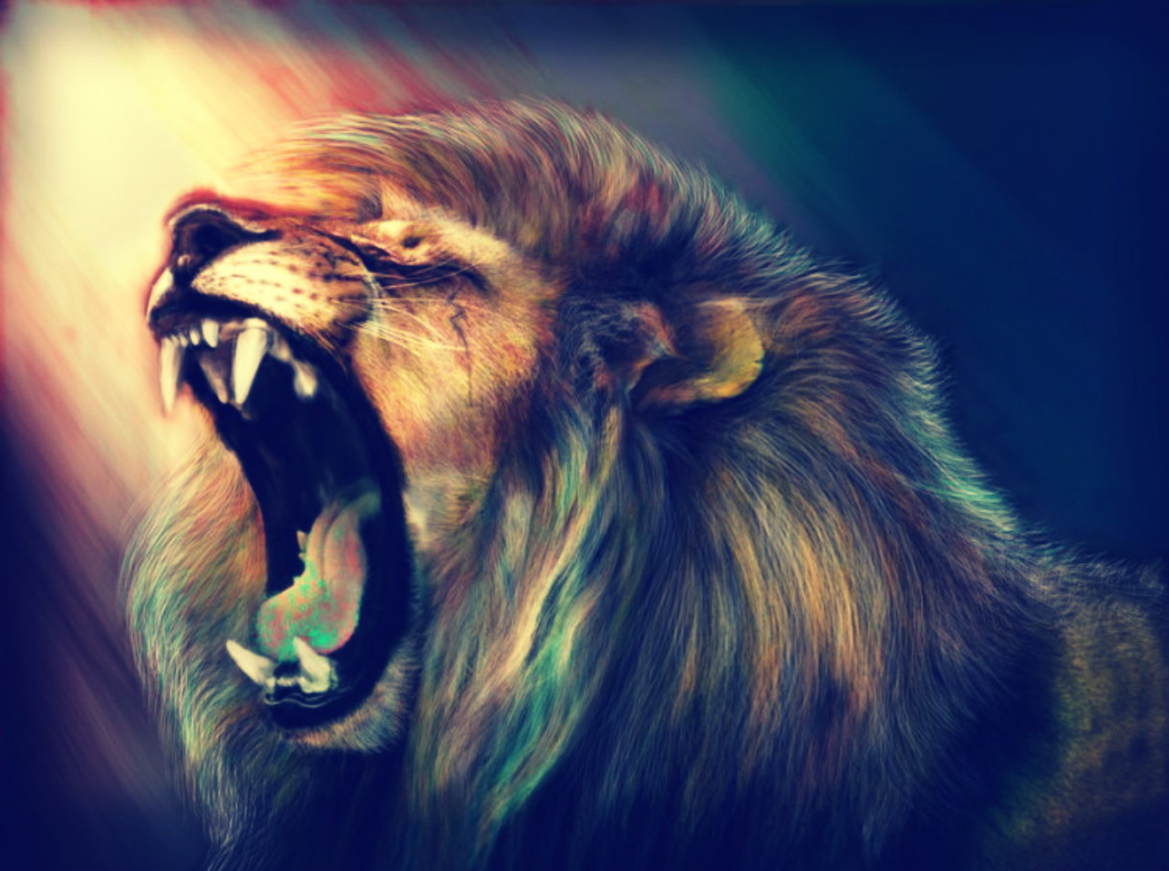 Cool Lion Wallpapers