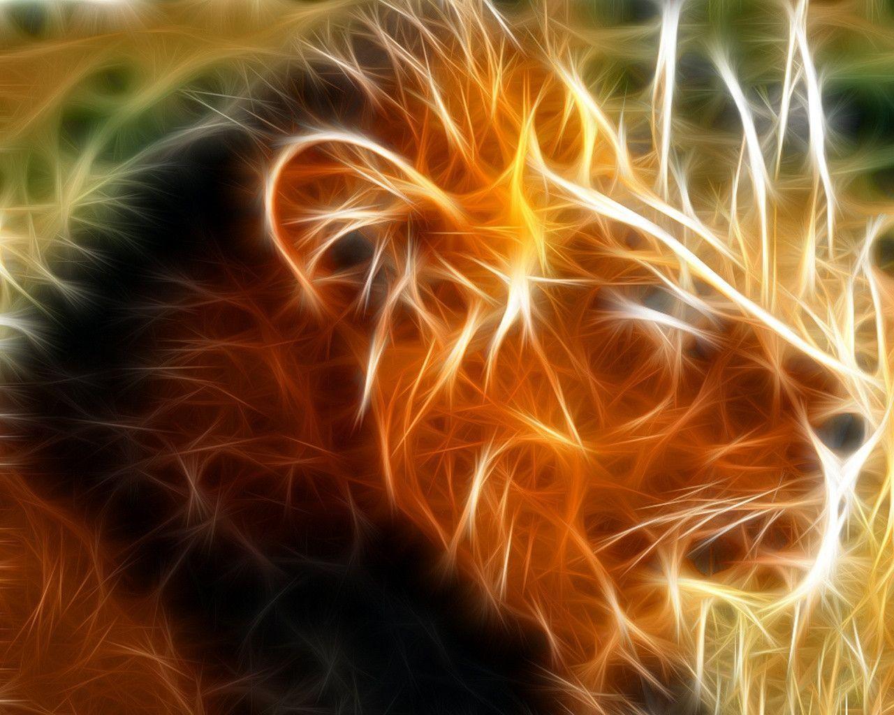 Cool Lion Wallpapers