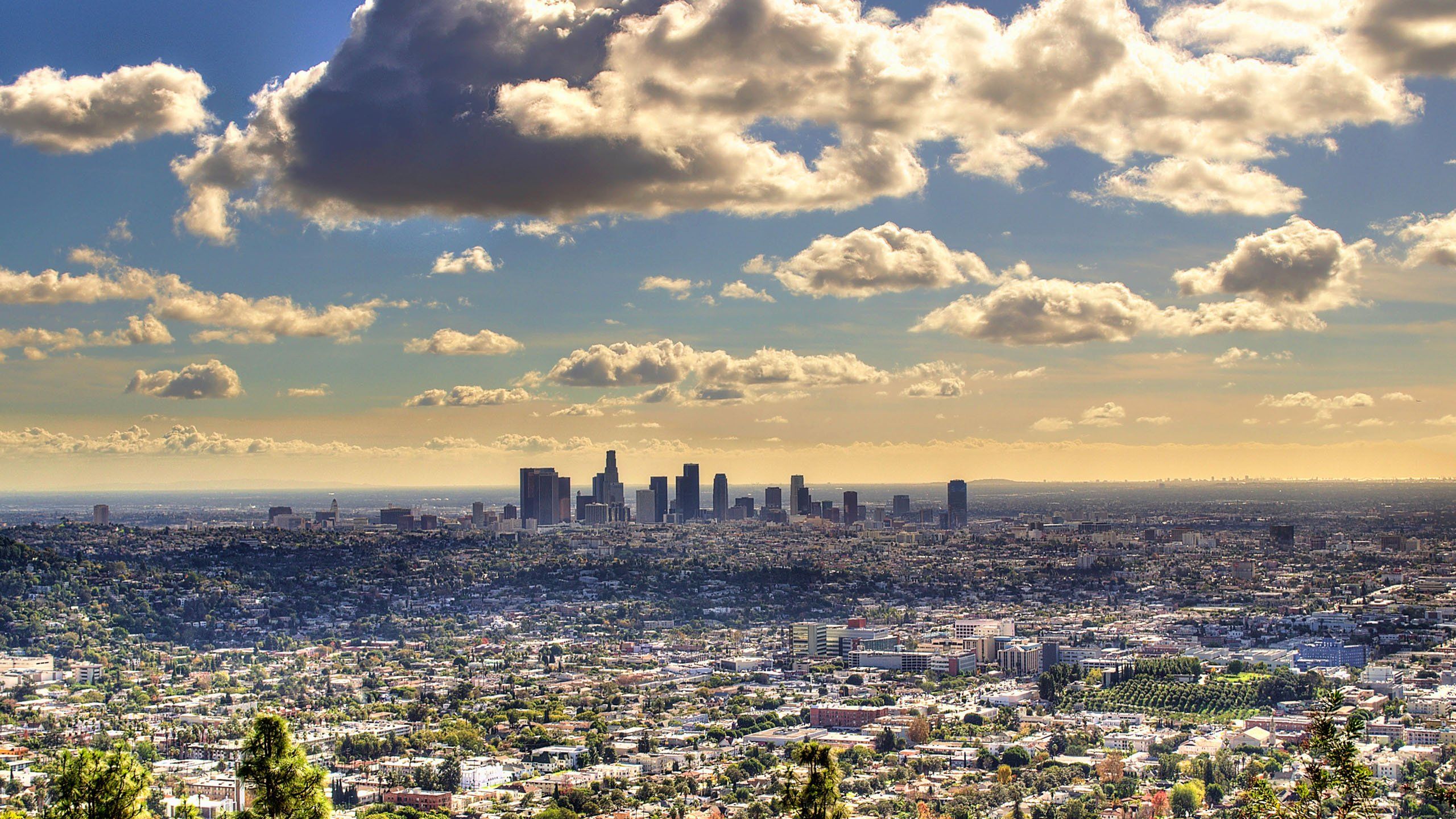 Cool Los Angeles Wallpapers