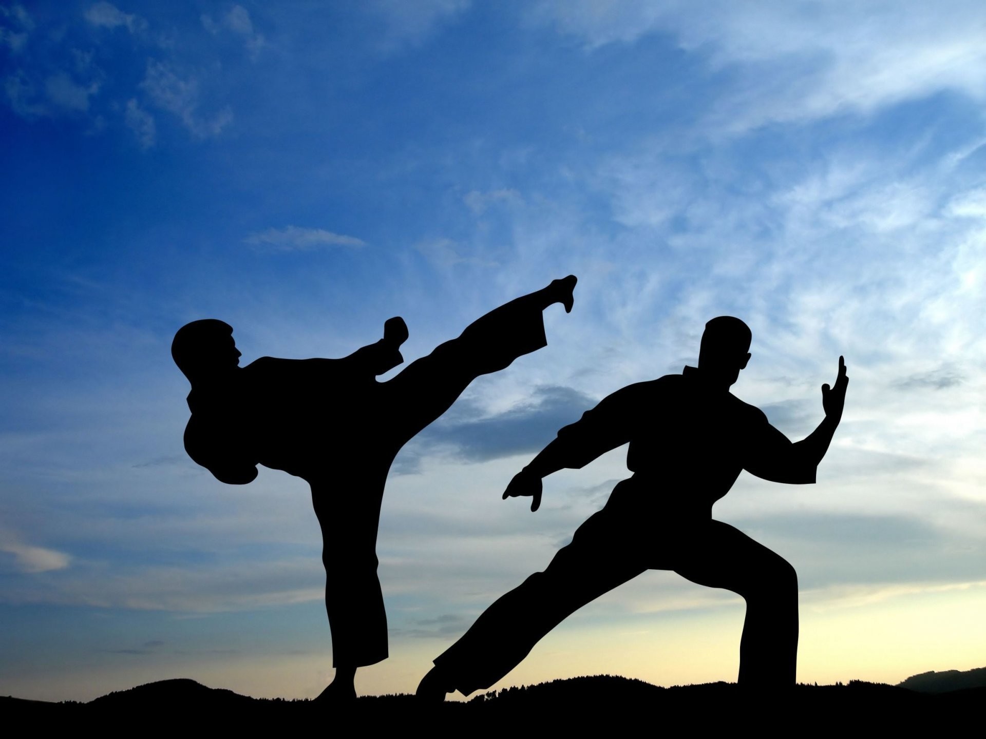 Cool Martial Arts Wallpapers