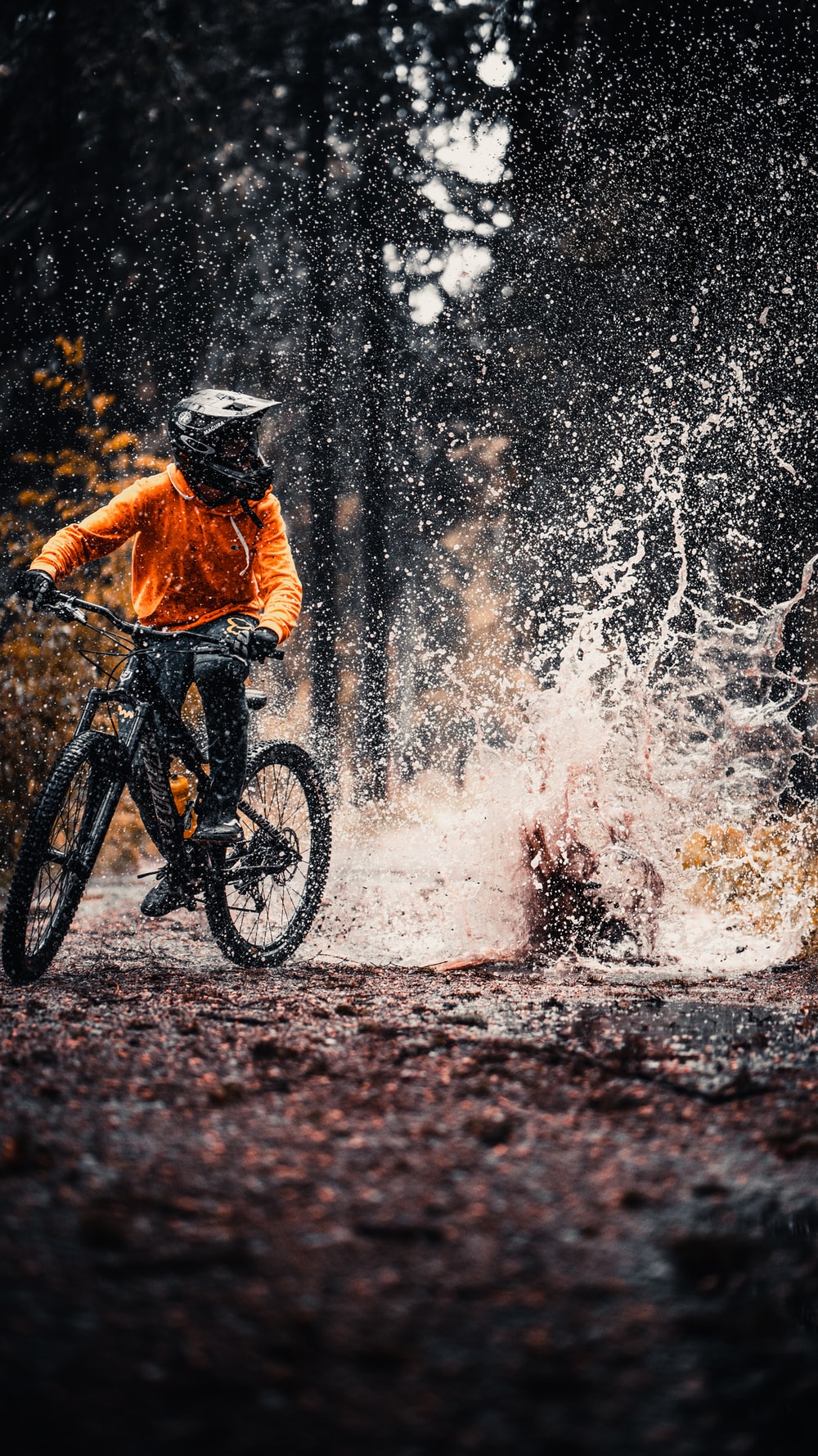 Cool Mountain Biking Wallpapers