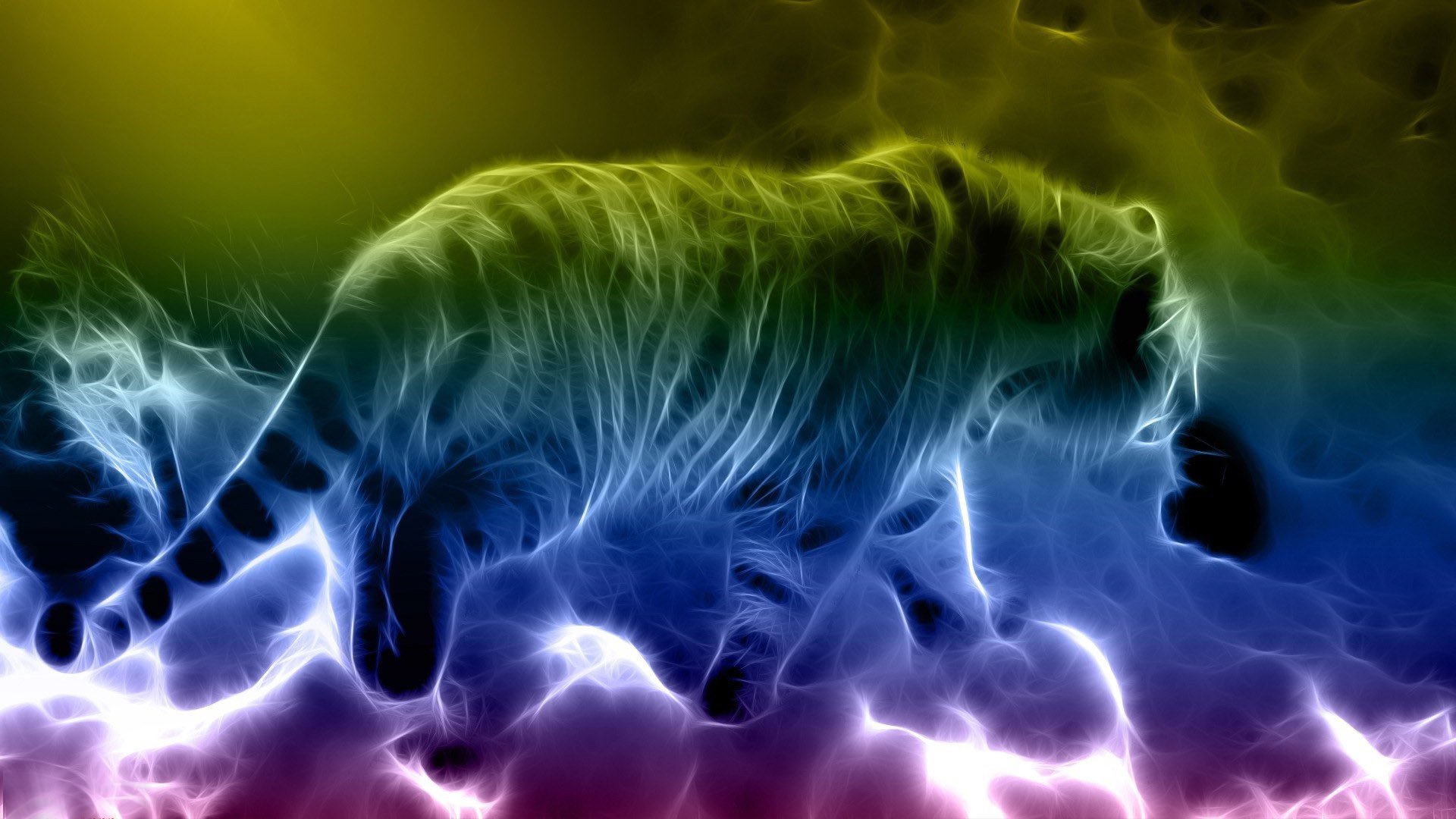 Cool Neon Lion Wallpapers