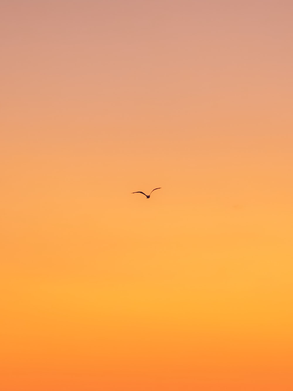 Cool Orange Wallpapers