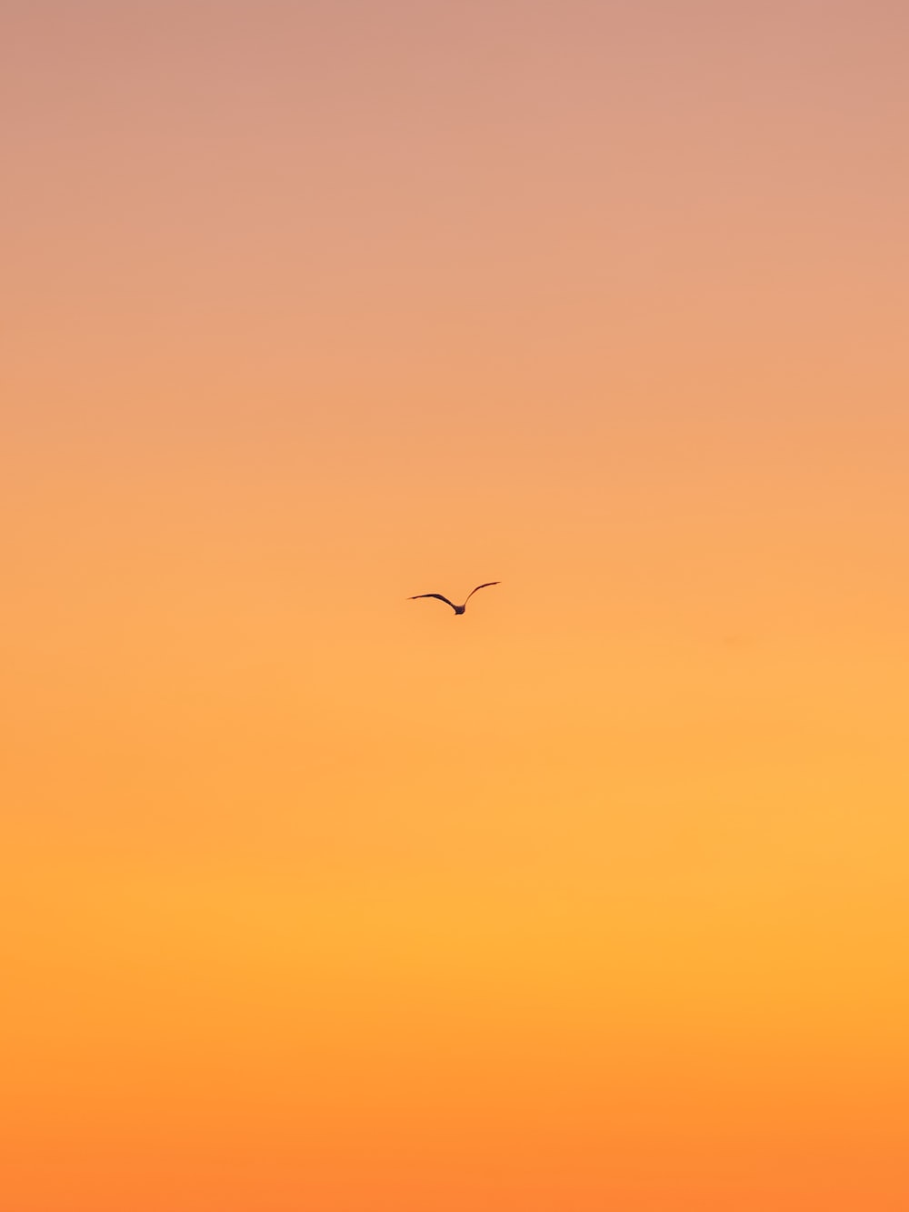 Cool Orange Wallpapers