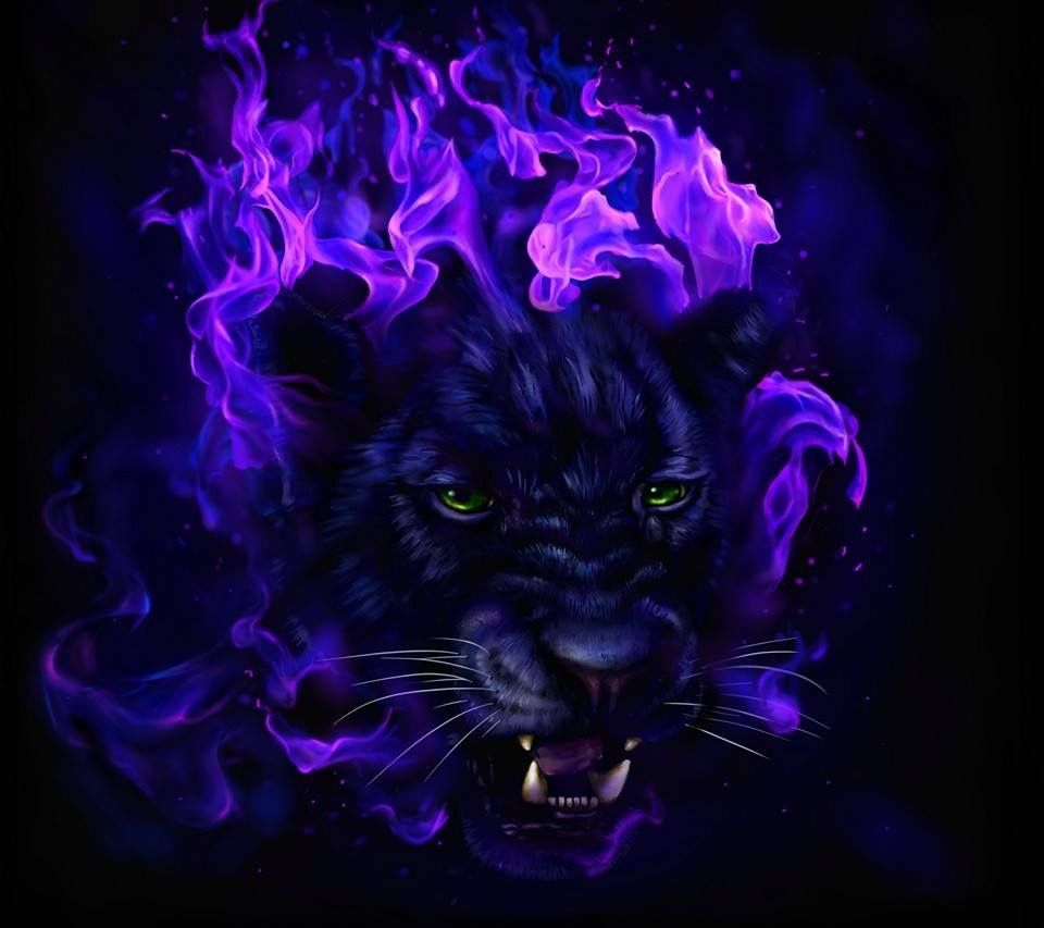 Cool Panther Wallpapers