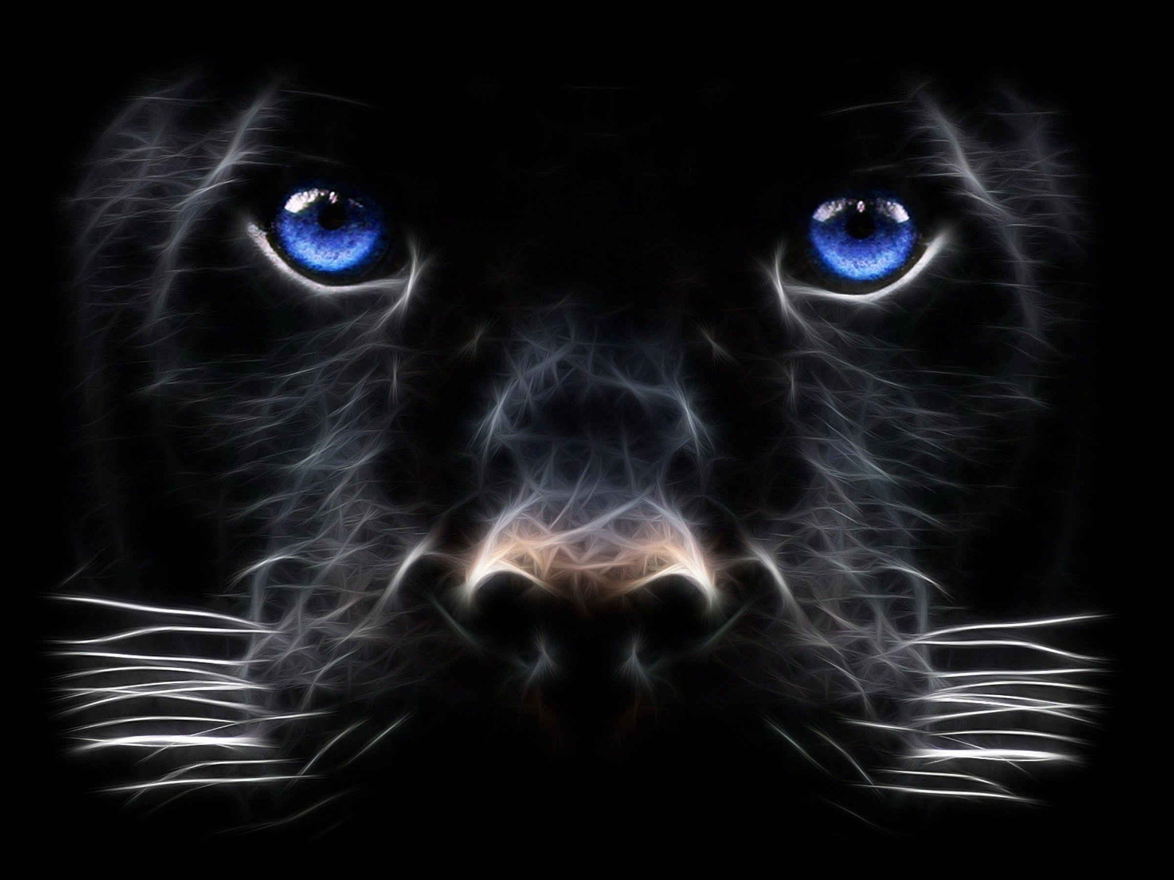 Cool Panther Wallpapers Wallpapers