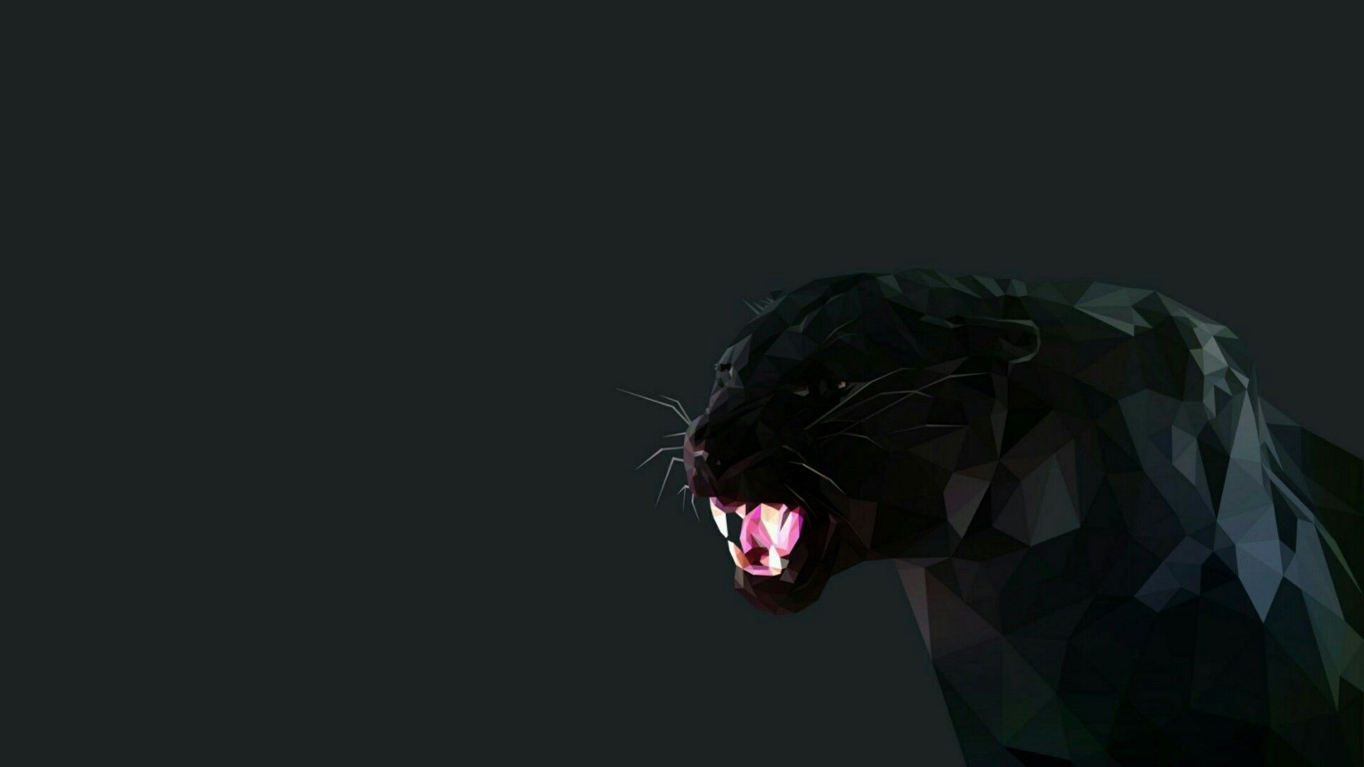 Cool Panther Wallpapers Wallpapers