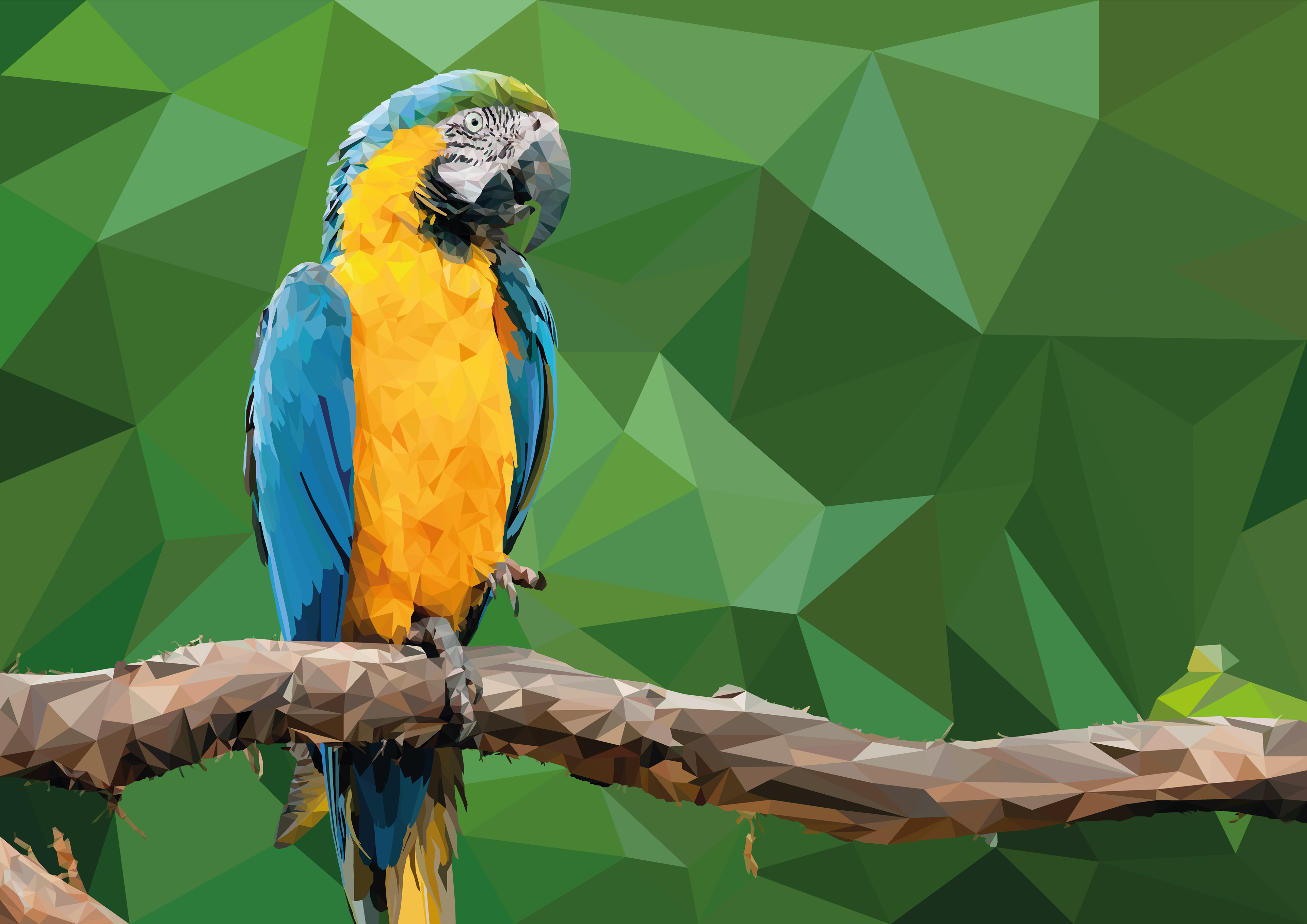 Cool Parrot Wallpapers