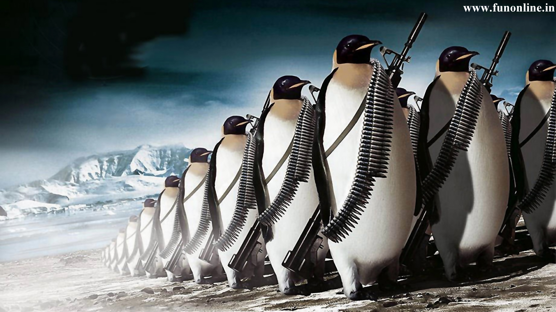 Cool Penguin Wallpapers