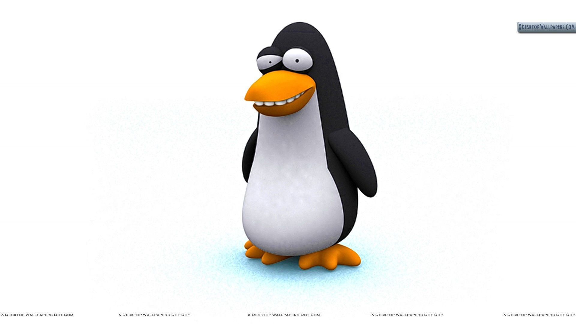 Cool Penguin Wallpapers