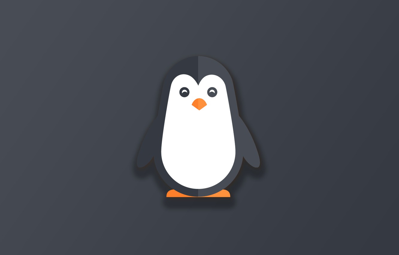 Cool Penguin Wallpapers