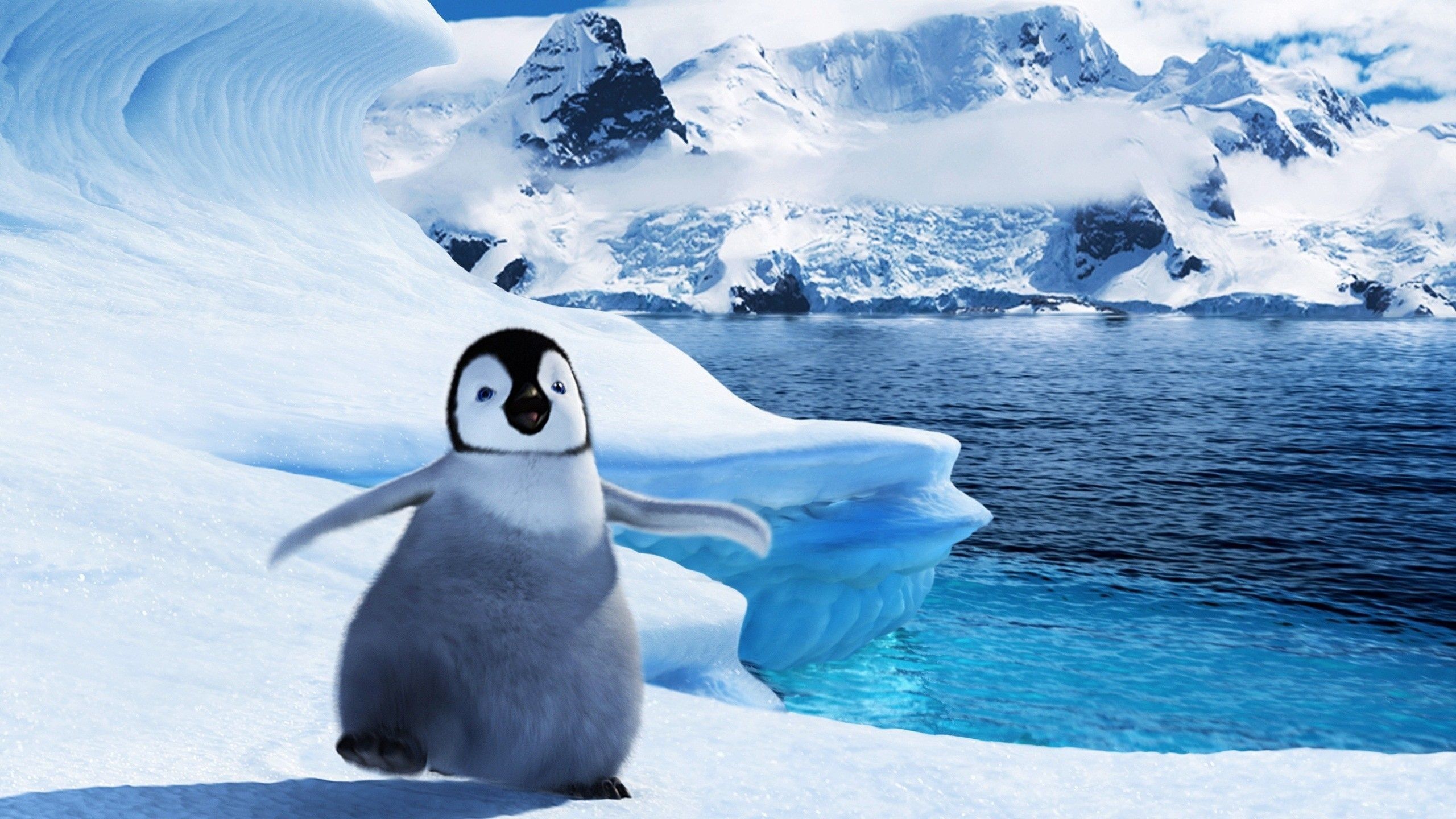 Cool Penguin Wallpapers