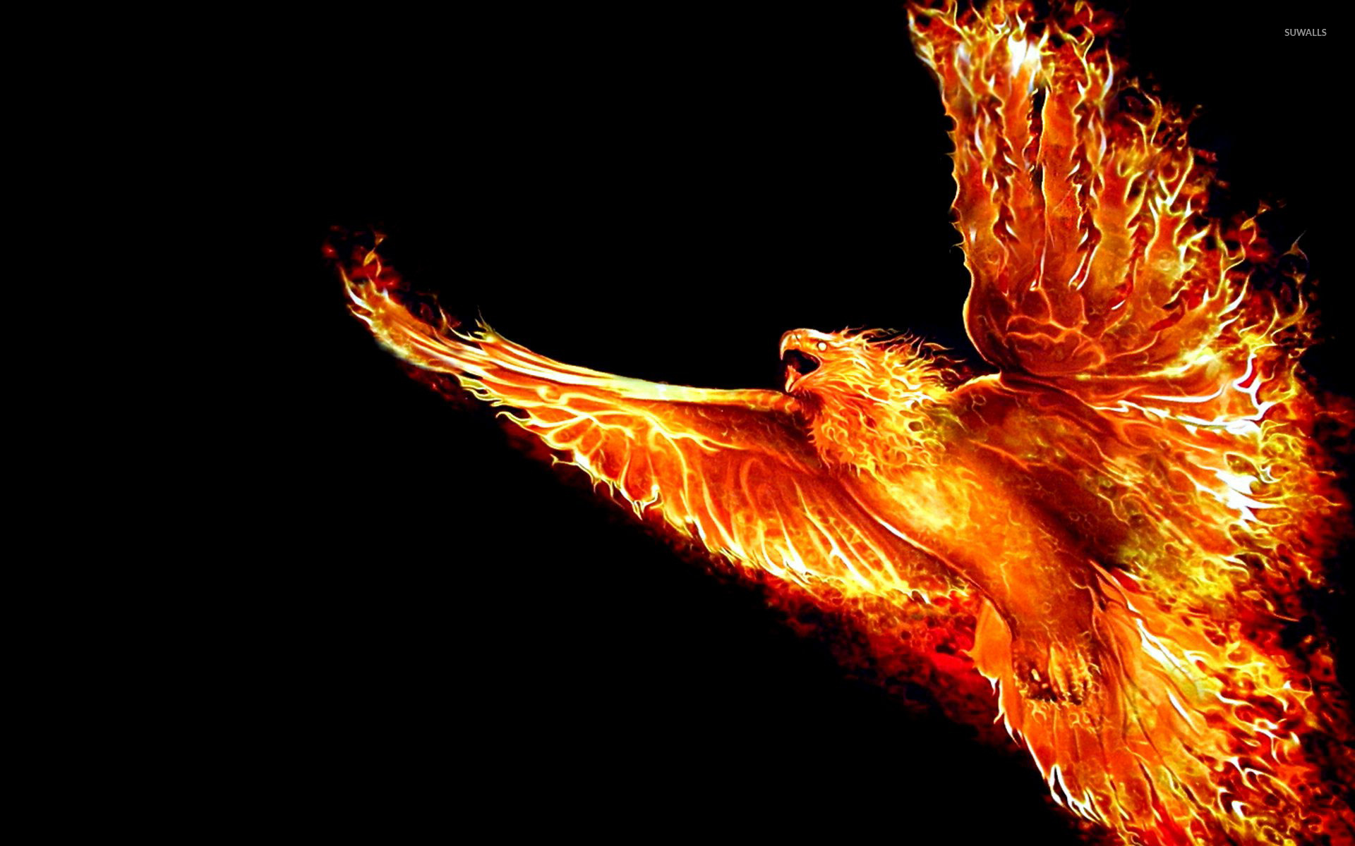 Cool Phoenix Wallpapers