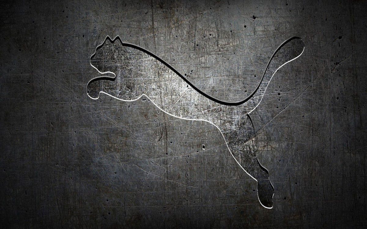 Cool Puma Wallpapers