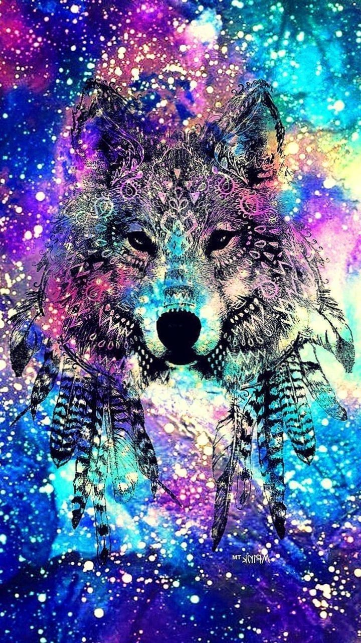 Cool Rainbow Wolf Wallpapers