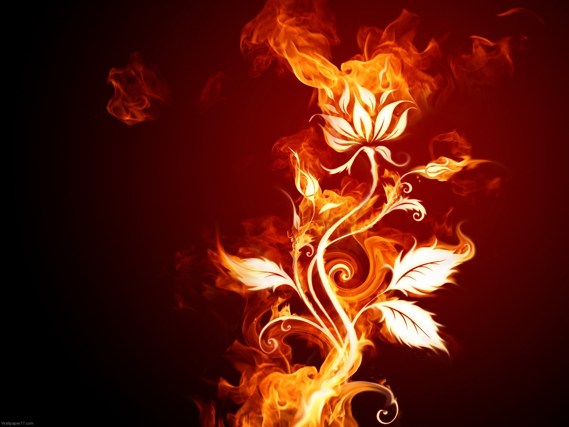 Cool Red Fire Wallpapers