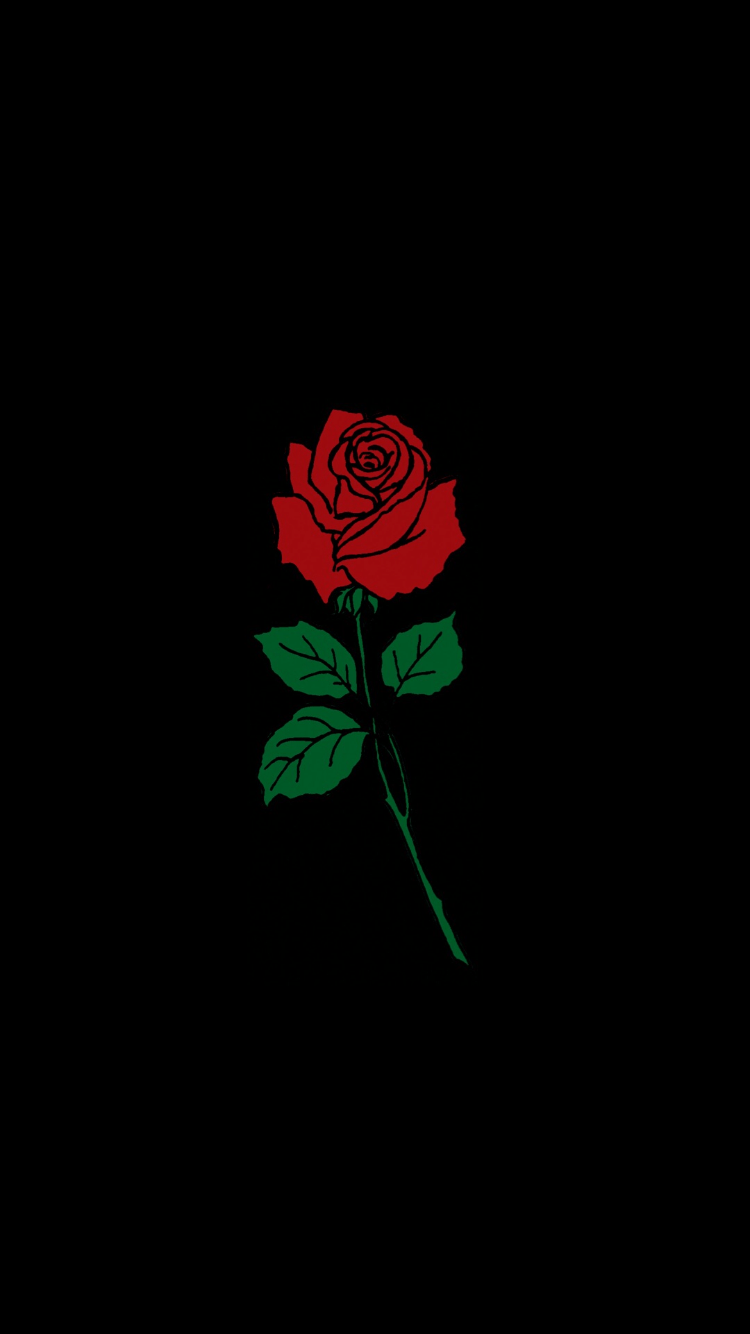 Cool Rose Wallpapers Wallpapers