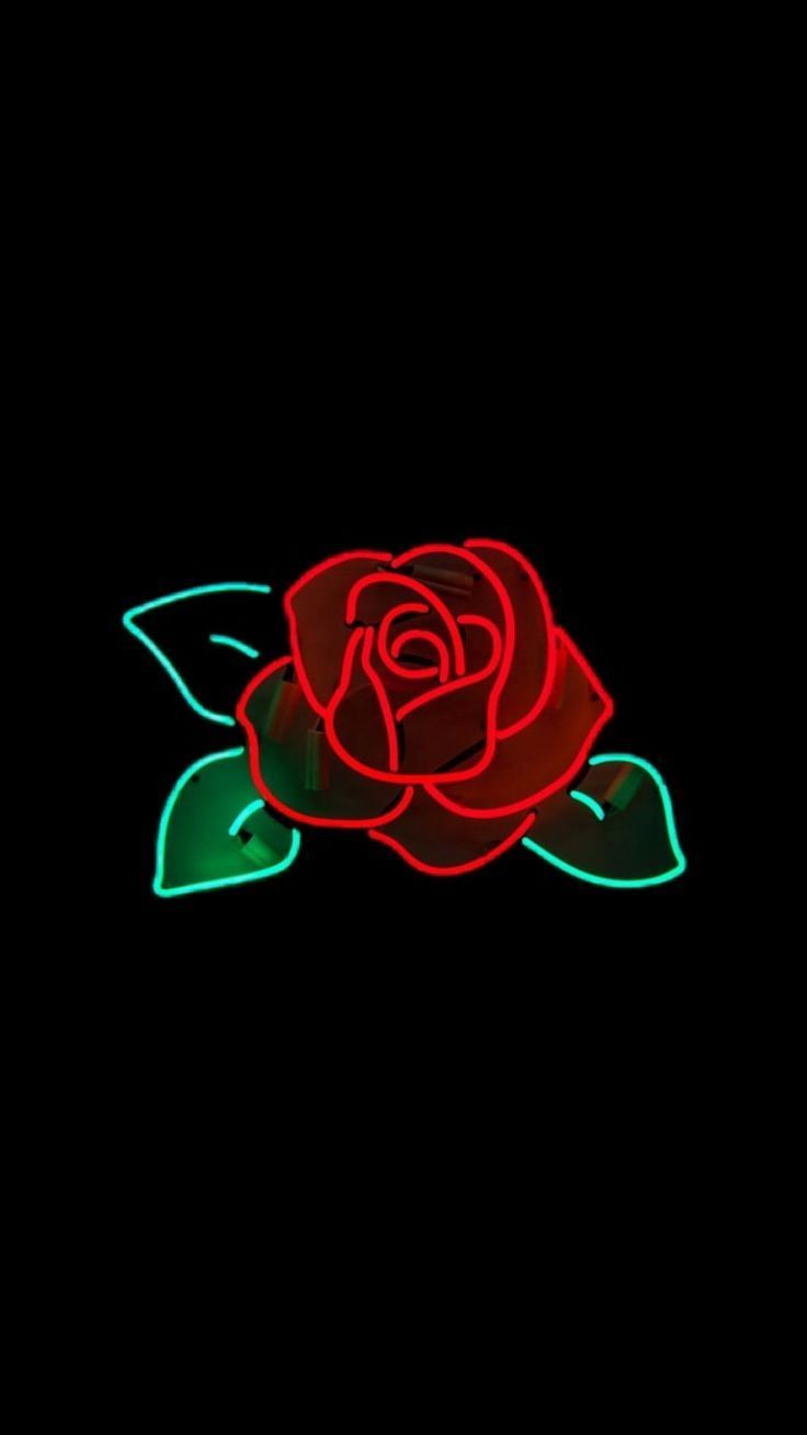 Cool Rose Wallpapers Wallpapers