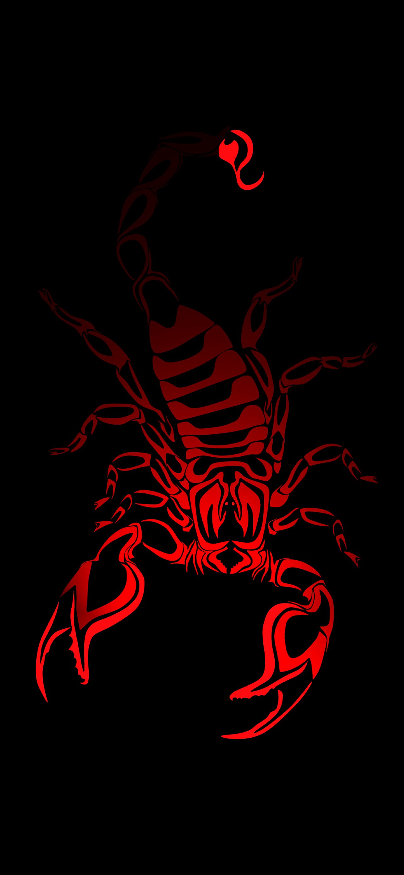Cool Scorpion Wallpapers