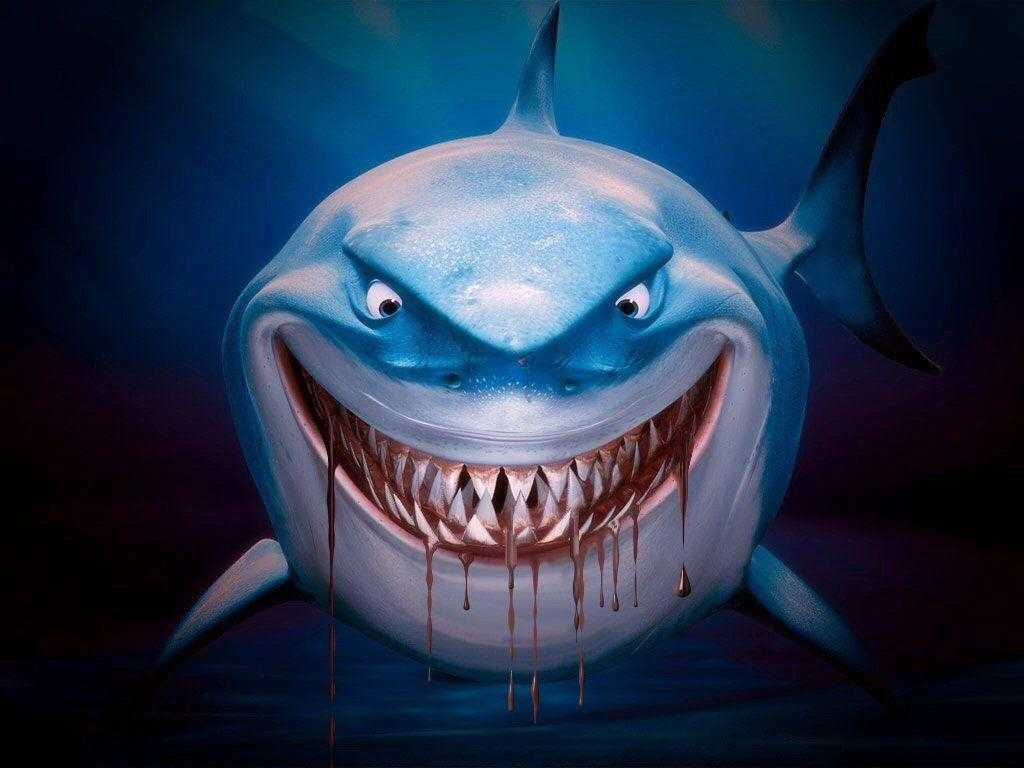 Cool Shark Wallpapers