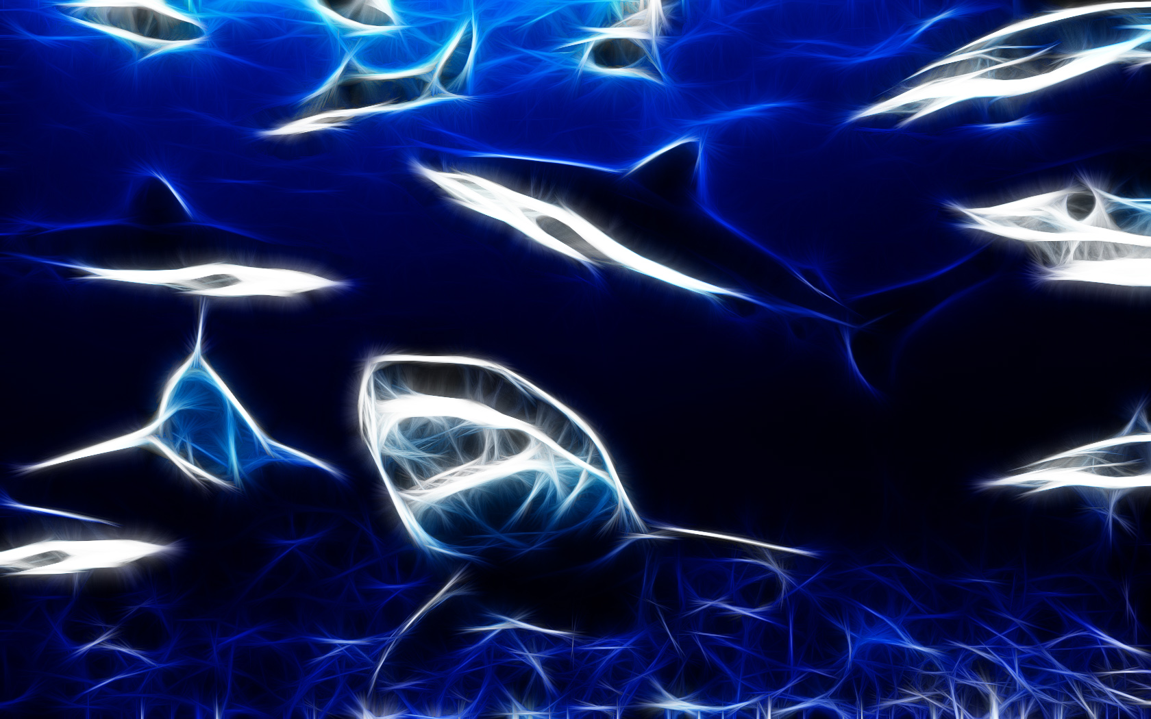 Cool Shark Wallpapers