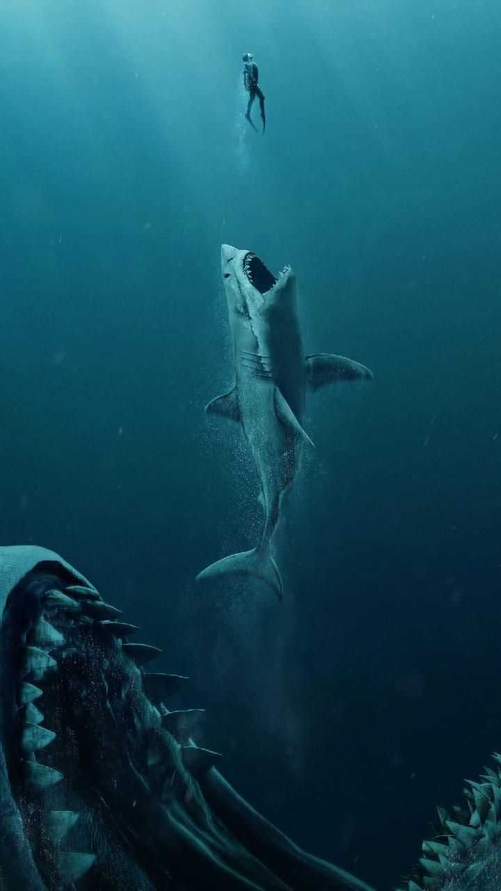 Cool Shark Wallpapers