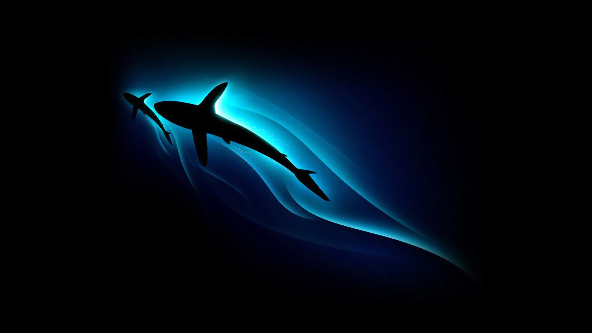 Cool Shark Wallpapers