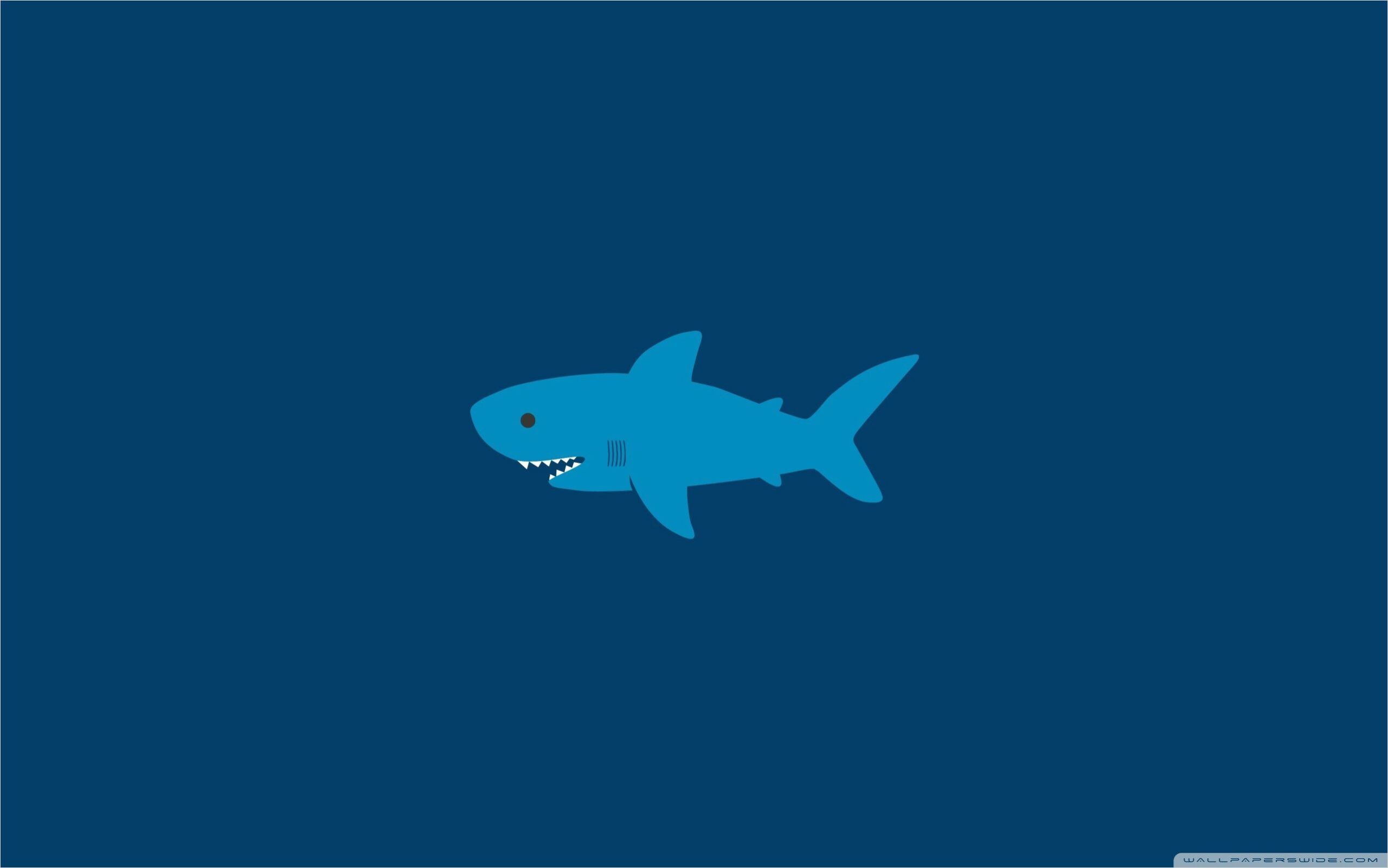 Cool Shark Wallpapers Wallpapers