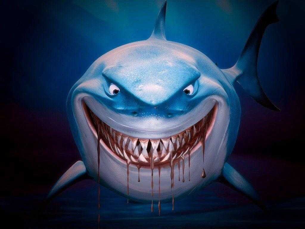 Cool Shark Wallpapers Wallpapers