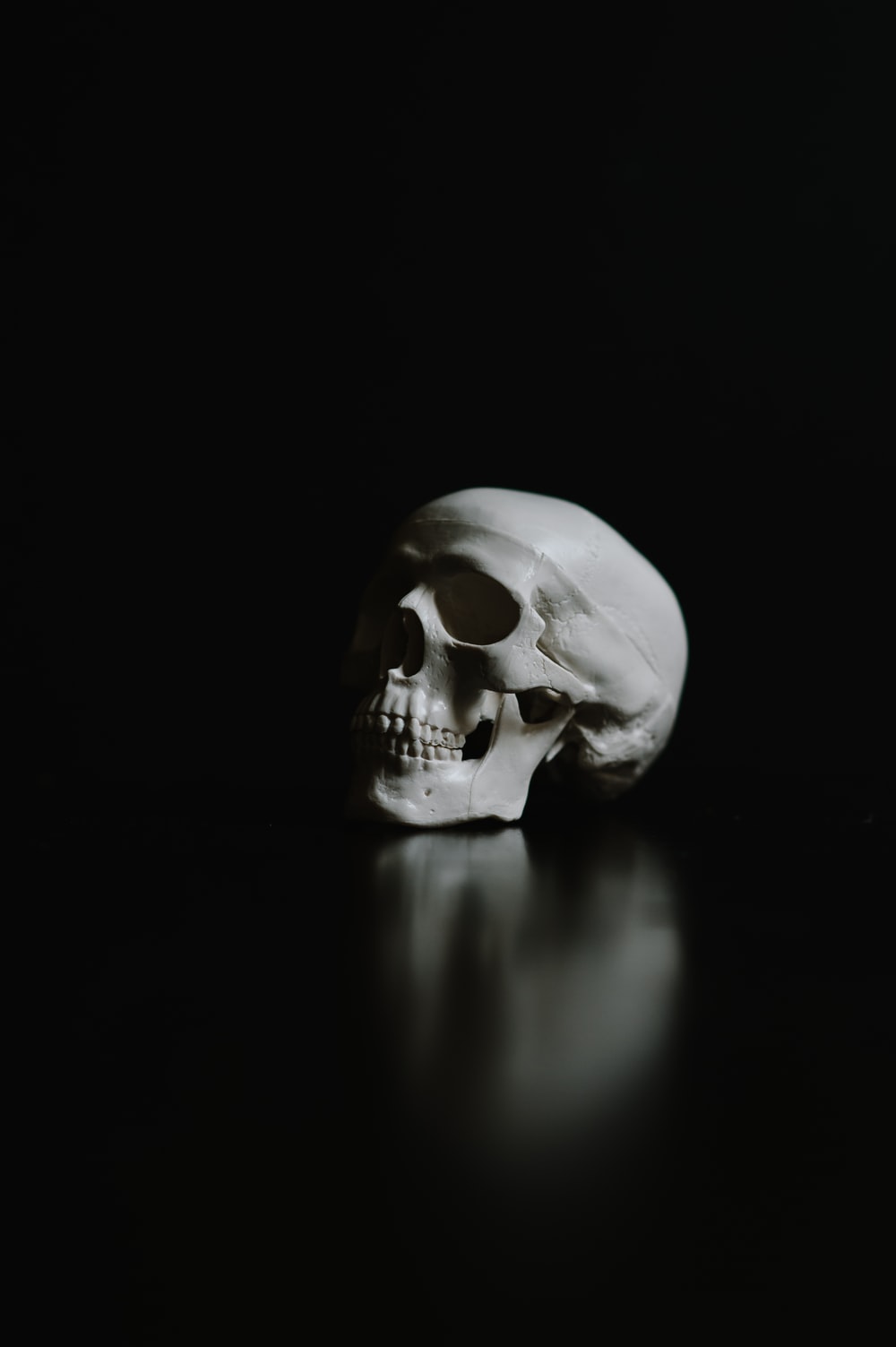 Cool Skeleton Wallpapers