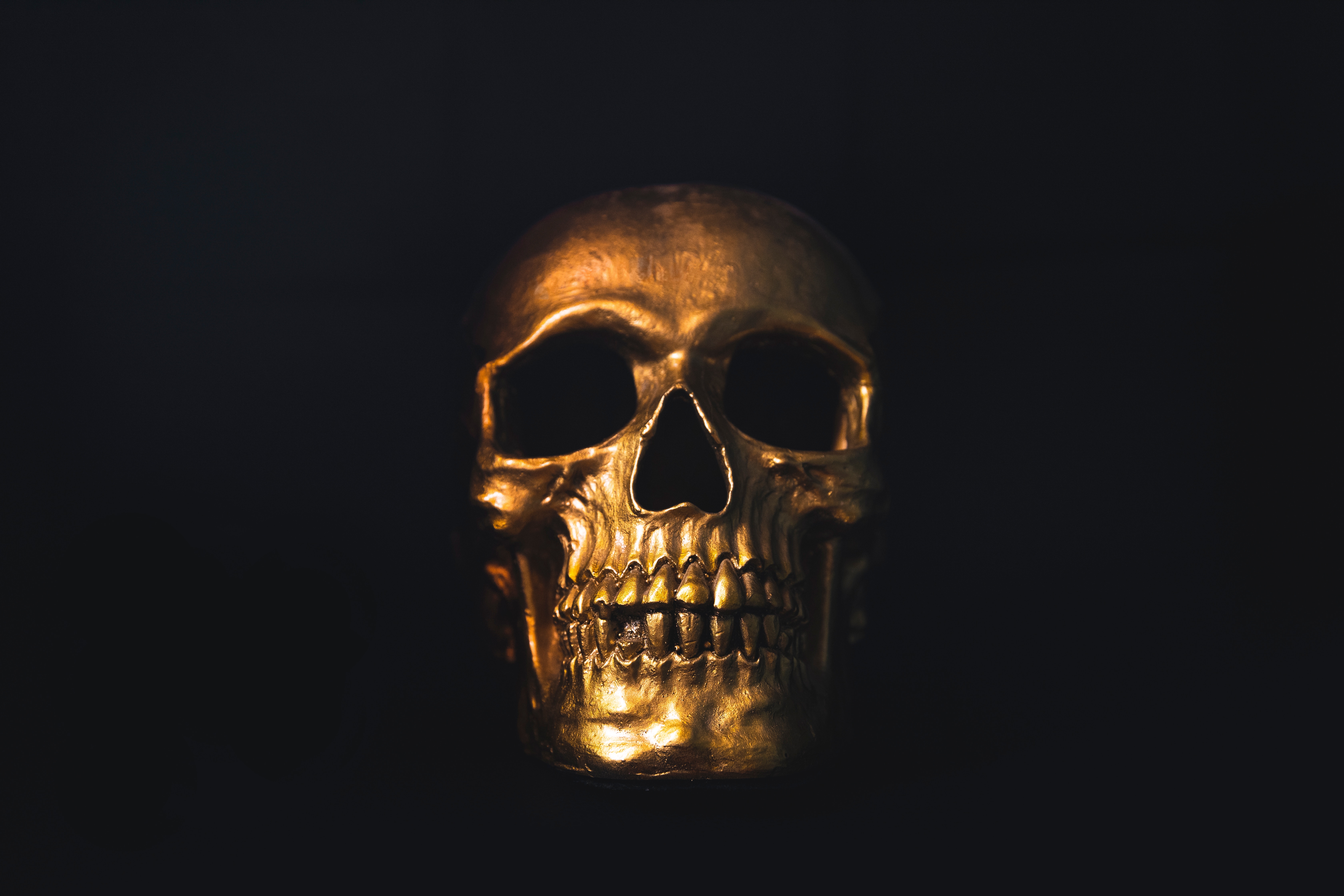 Cool Skull Wallpapers Wallpapers