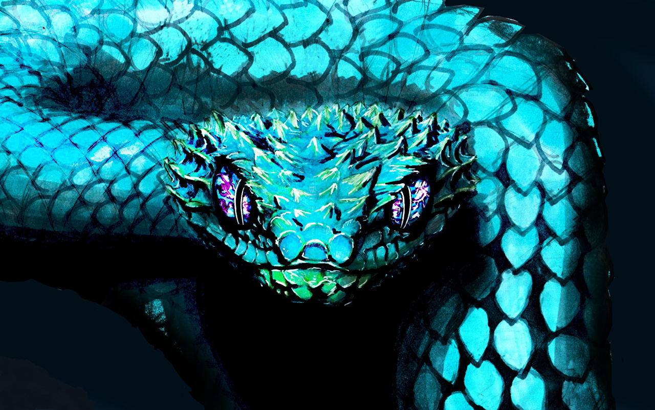 Cool Snake Wallpapers