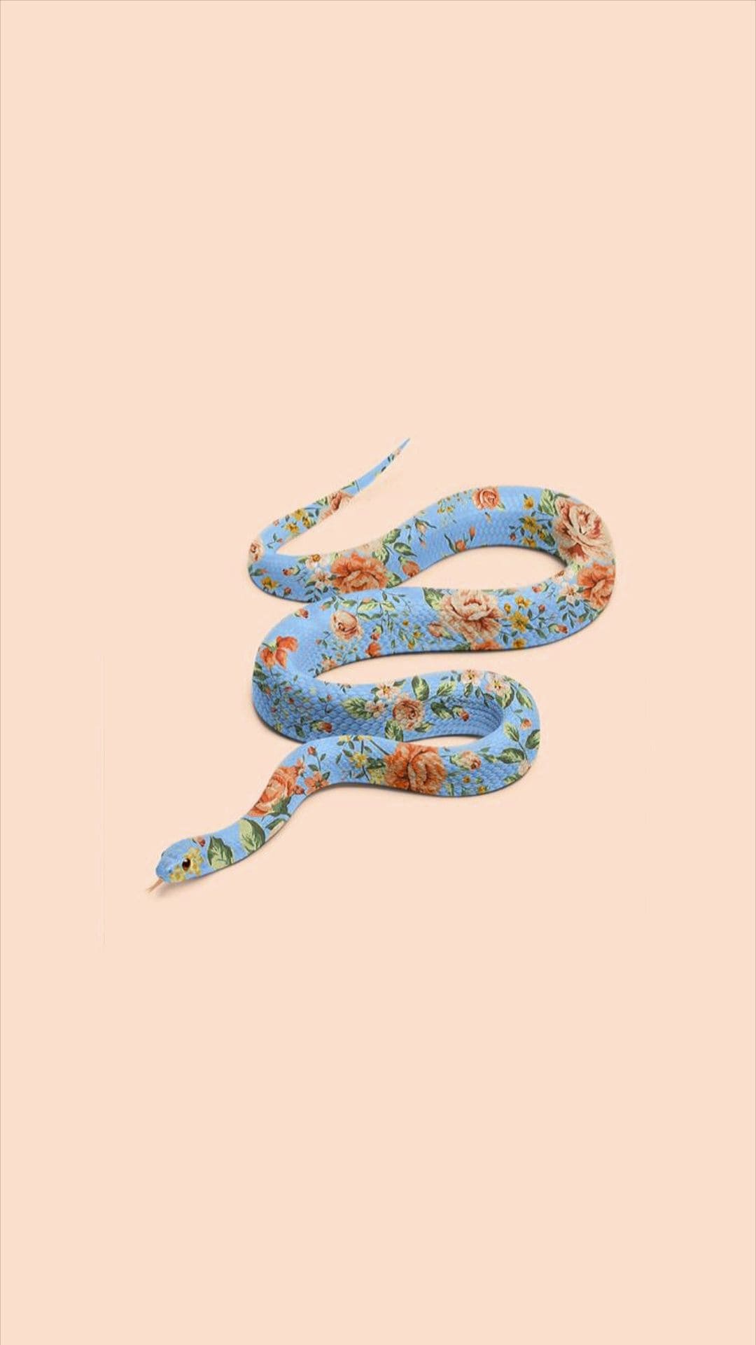 Cool Snake Wallpapers Wallpapers