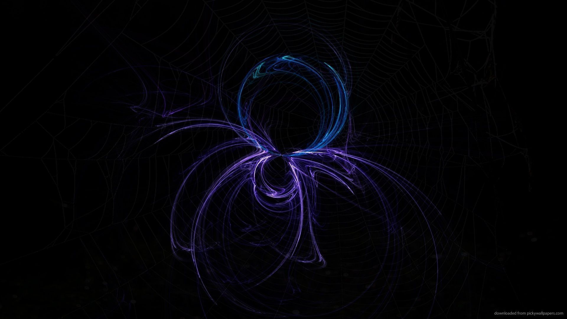 Cool Spider Wallpapers