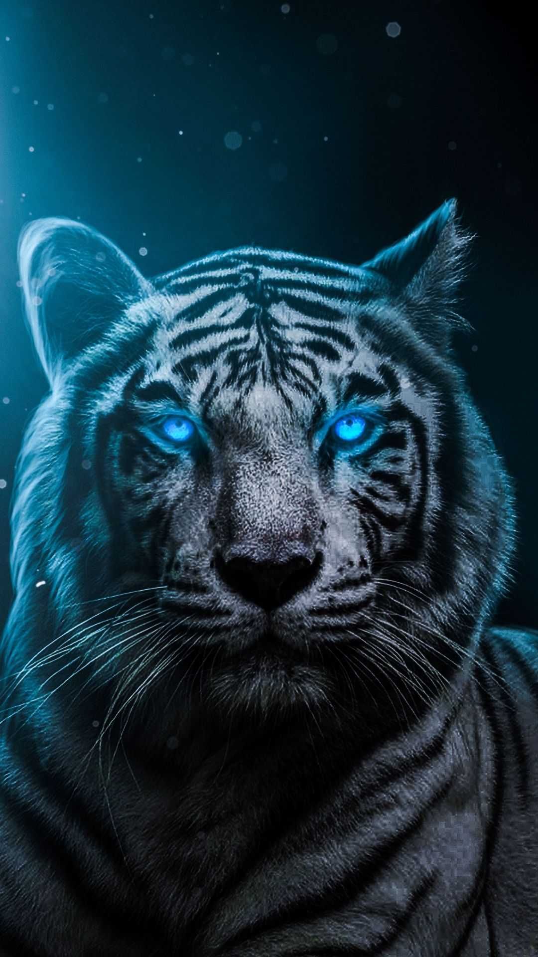 Cool Tiger Wallpapers