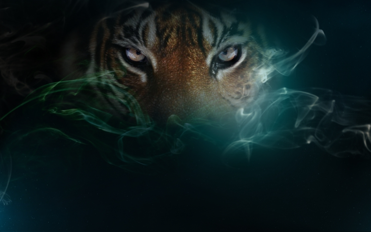 Cool Tiger Wallpapers