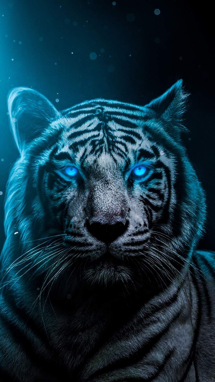 Cool Tigers Wallpapers Wallpapers