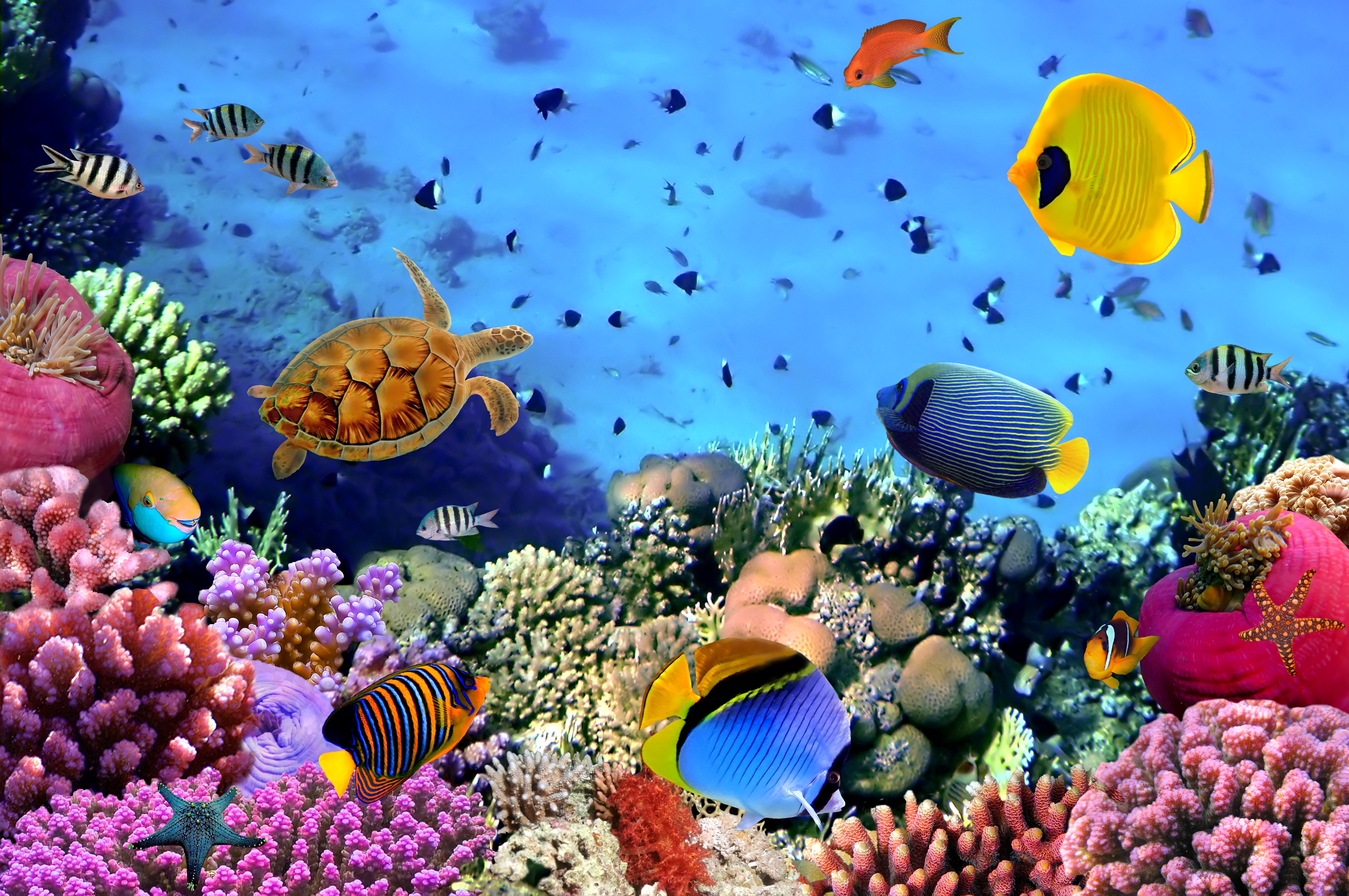 Cool Underwater Wallpapers