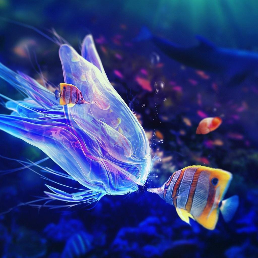 Cool Underwater Wallpapers