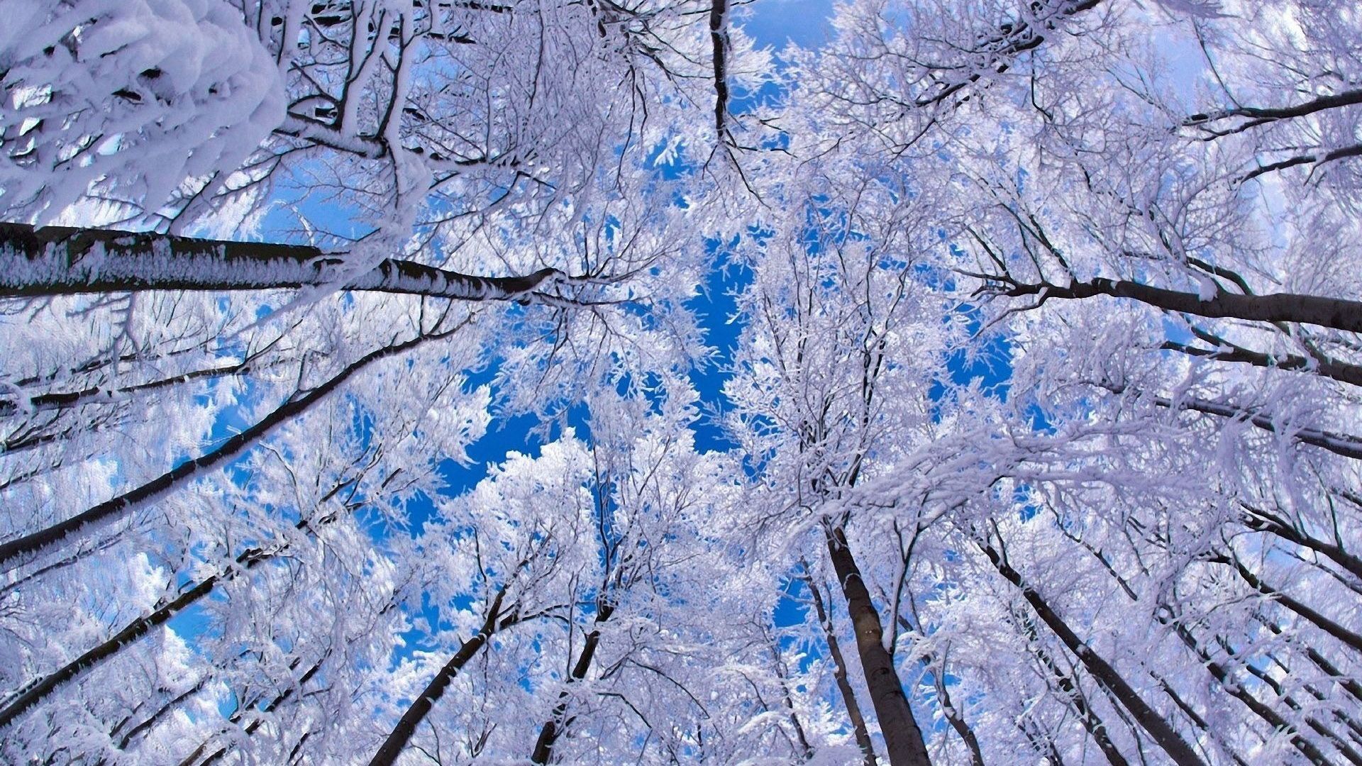 Cool Winter Backgrounds